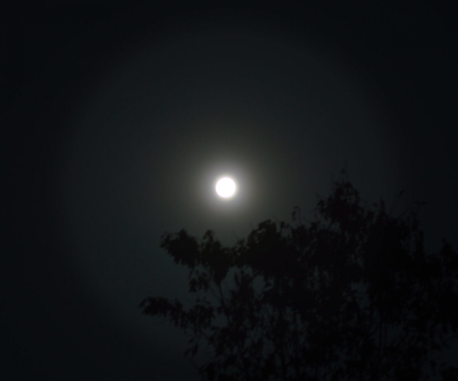 A Day in Bon Aqua Album Cover